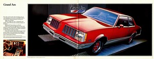 1978 Pontiac LeMans (Cdn)-02-03.jpg